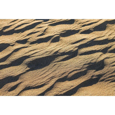 Spain-Canary Islands-Gran Canaria Island-Maspalomas-Maspalomas Dunes National Park Black Modern Wood Framed Art Print by Bibikow, Walter