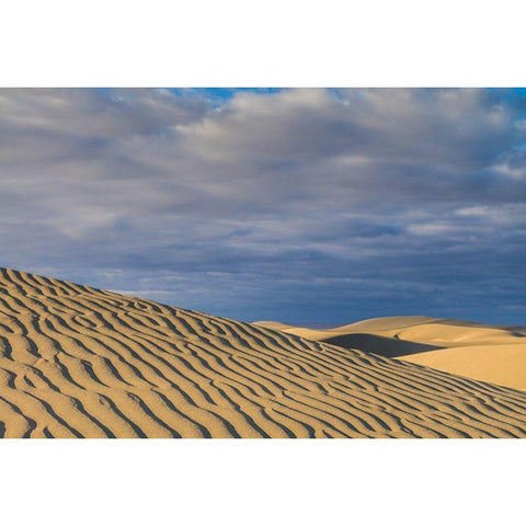 Spain-Canary Islands-Gran Canaria Island-Maspalomas-Maspalomas Dunes National Park Black Modern Wood Framed Art Print with Double Matting by Bibikow, Walter