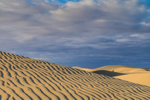 Spain-Canary Islands-Gran Canaria Island-Maspalomas-Maspalomas Dunes National Park White Modern Wood Framed Art Print with Double Matting by Bibikow, Walter