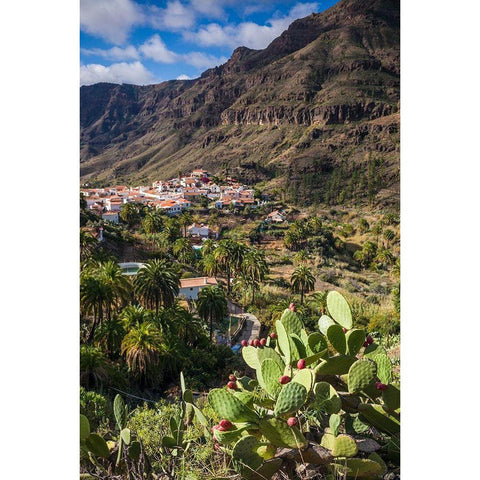Spain-Canary Islands-Gran Canaria Island-Fataga-high angle village view Gold Ornate Wood Framed Art Print with Double Matting by Bibikow, Walter