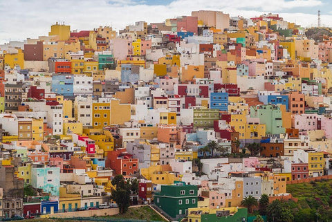 Spain-Canary Islands-Gran Canaria Island-Las Palmas de Gran Canaria White Modern Wood Framed Art Print with Double Matting by Bibikow, Walter