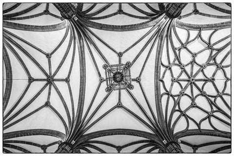 Spain-Canary Islands-Gran Canaria Island-Las Palmas de Gran Canaria-Catedral de Santa Ana-interior Black Ornate Wood Framed Art Print with Double Matting by Bibikow, Walter