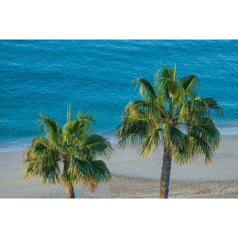 Canary Islands-Fuerteventura Island-Morro Jable-high angle view of Playa de la Cebada beach Gold Ornate Wood Framed Art Print with Double Matting by Bibikow, Walter