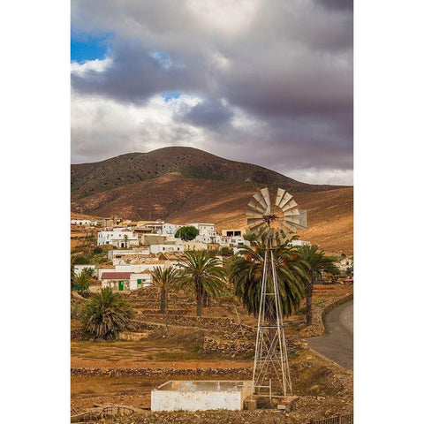 Canary Islands-Fuerteventura Island-Toto-desert village view with windmill Black Modern Wood Framed Art Print with Double Matting by Bibikow, Walter