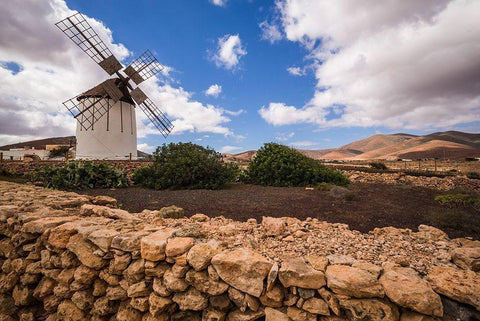 Canary Islands-Fuerteventura Island-Tiscamanita-traditional island windmill White Modern Wood Framed Art Print with Double Matting by Bibikow, Walter