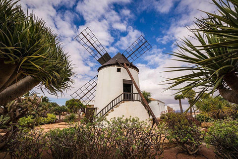 Canary Islands-Fuerteventura Island-Antigua-traditional island windmill Black Ornate Wood Framed Art Print with Double Matting by Bibikow, Walter