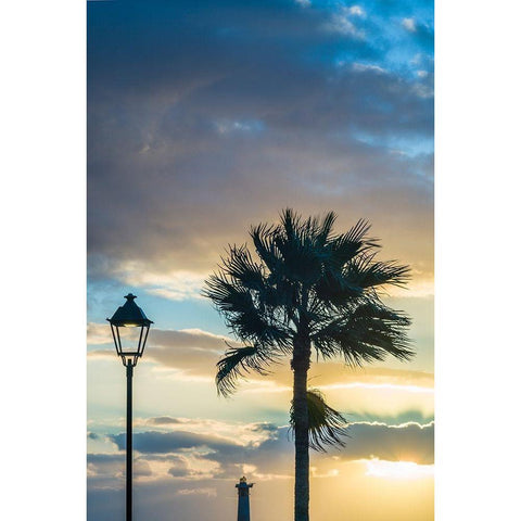 Canary Islands-Fuerteventura Island-Morro Jable-Playa del Matorral beach-palm tree-streetlight White Modern Wood Framed Art Print by Bibikow, Walter