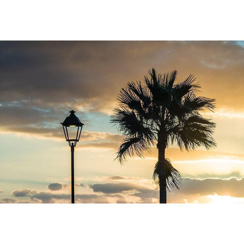 Canary Islands-Fuerteventura Island-Morro Jable-Playa del Matorral beach-palm tree Black Modern Wood Framed Art Print by Bibikow, Walter
