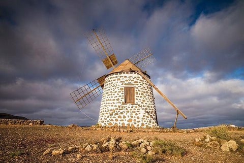 Canary Islands-Fuerteventura Island-La Oliva-traditional windmill Black Ornate Wood Framed Art Print with Double Matting by Bibikow, Walter