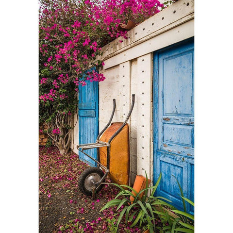 Canary Islands-Fuerteventura Island-La Oliva-blue door of garden shed Black Modern Wood Framed Art Print with Double Matting by Bibikow, Walter