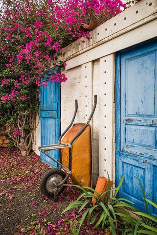 Canary Islands-Fuerteventura Island-La Oliva-blue door of garden shed White Modern Wood Framed Art Print with Double Matting by Bibikow, Walter