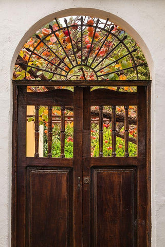 Canary Islands-La Palma Island-Santa Cruz de la Palma-persimmon fruit garden Black Ornate Wood Framed Art Print with Double Matting by Bibikow, Walter