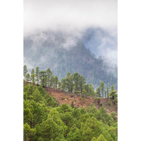 Canary Islands- Black Modern Wood Framed Art Print by Bibikow, Walter