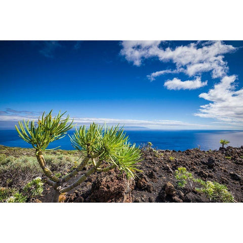 Canary Islands-La Palma Island-Fuencaliente de la Palma-Punta de Fuencaliente-volcanic landscape White Modern Wood Framed Art Print by Bibikow, Walter
