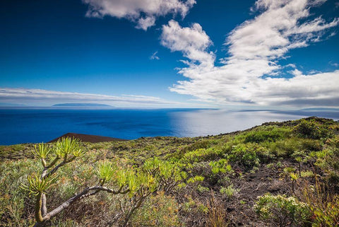 Canary Islands-La Palma Island-Fuencaliente de la Palma-Punta de Fuencaliente-volcanic landscape White Modern Wood Framed Art Print with Double Matting by Bibikow, Walter