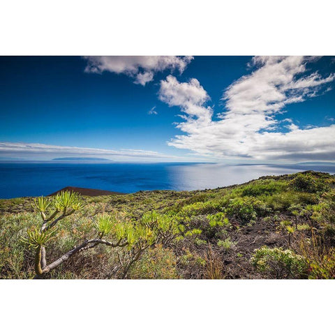 Canary Islands-La Palma Island-Fuencaliente de la Palma-Punta de Fuencaliente-volcanic landscape Black Modern Wood Framed Art Print with Double Matting by Bibikow, Walter