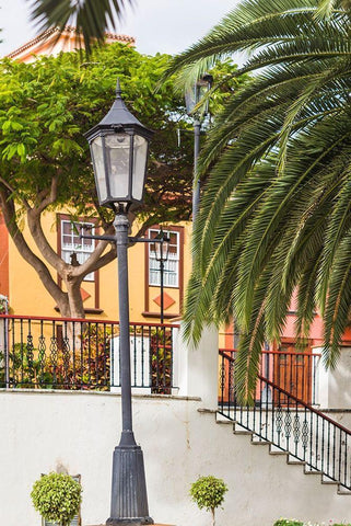 Canary Islands-La Palma Island-San Andres-detail of the village square White Modern Wood Framed Art Print with Double Matting by Bibikow, Walter
