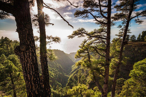 Canary Islands-La Palma Island-Mirador de Garome-elevated coastal view White Modern Wood Framed Art Print with Double Matting by Bibikow, Walter
