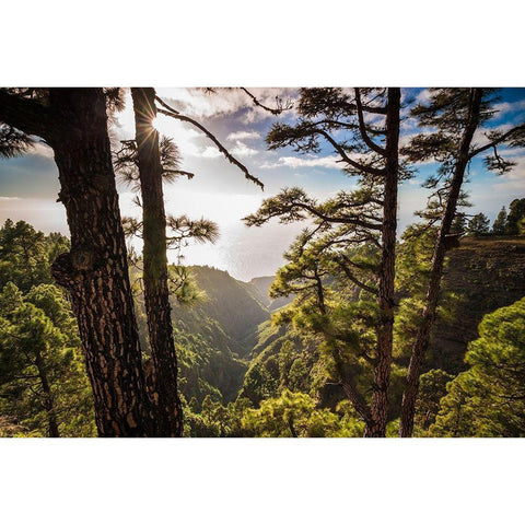 Canary Islands-La Palma Island-Mirador de Garome-elevated coastal view Black Modern Wood Framed Art Print by Bibikow, Walter
