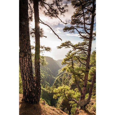 Canary Islands-La Palma Island-Mirador de Garome-elevated coastal view White Modern Wood Framed Art Print by Bibikow, Walter