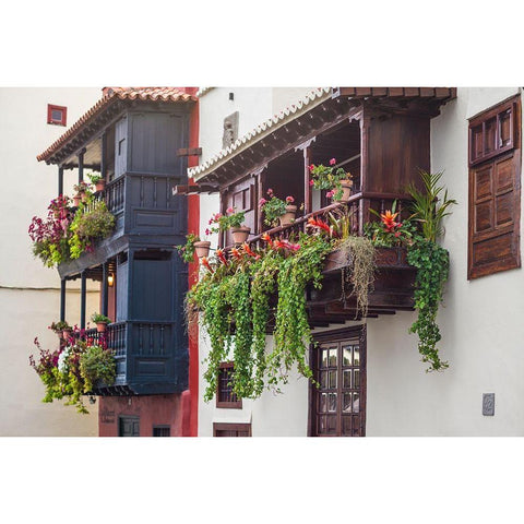 Canary Islands-La Palma Island-Santa Cruz de la Palma-traditional Canarian house balconies Black Modern Wood Framed Art Print with Double Matting by Bibikow, Walter