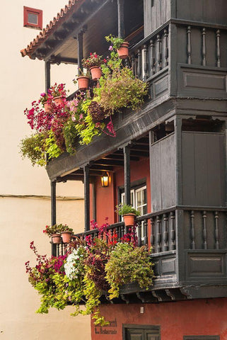 Canary Islands-La Palma Island-Santa Cruz de la Palma-traditional Canarian house balconies Black Ornate Wood Framed Art Print with Double Matting by Bibikow, Walter