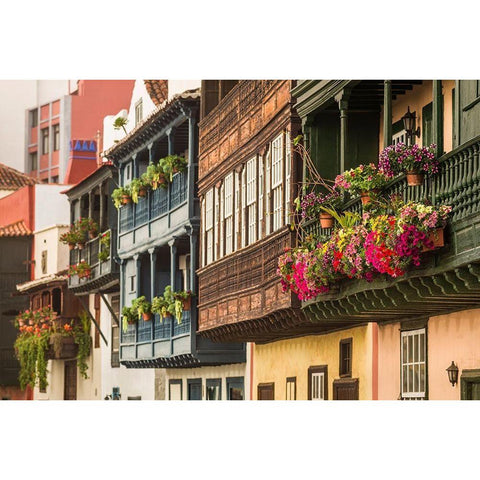 Canary Islands-La Palma Island-Santa Cruz de la Palma-traditional Canarian house balconies Black Modern Wood Framed Art Print by Bibikow, Walter