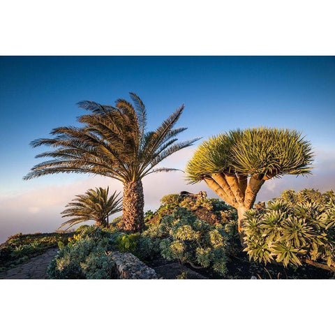 Canary Islands-El Hierro Island-Guarazoca-Mirador de la Pena Black Modern Wood Framed Art Print with Double Matting by Bibikow, Walter