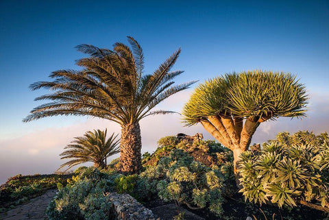 Canary Islands-El Hierro Island-Guarazoca-Mirador de la Pena White Modern Wood Framed Art Print with Double Matting by Bibikow, Walter