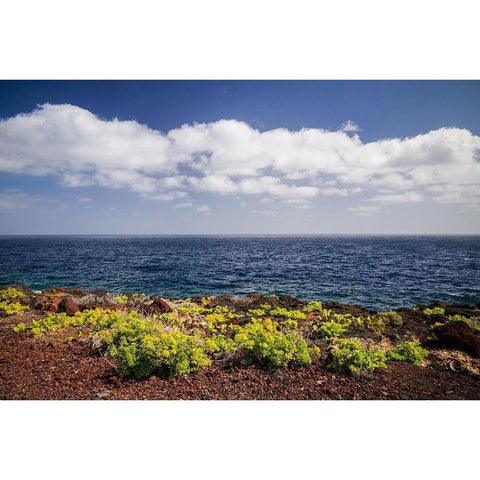 Canary Islands-El Hierro Island-east coast-Caleta-coastal view Black Modern Wood Framed Art Print with Double Matting by Bibikow, Walter