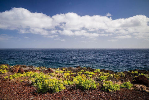 Canary Islands-El Hierro Island-east coast-Caleta-coastal view Black Ornate Wood Framed Art Print with Double Matting by Bibikow, Walter
