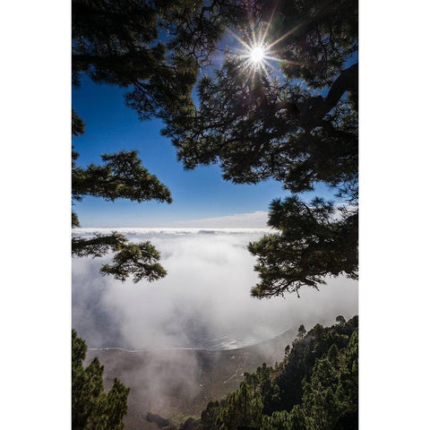 Canary Islands-El Hierro Island-Mirador de las Playas-elevated view of the east coast with fog Gold Ornate Wood Framed Art Print with Double Matting by Bibikow, Walter