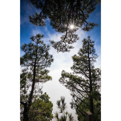 Canary Islands-El Hierro Island-Mirador de las Playas-elevated view of the east coast with fog Black Modern Wood Framed Art Print with Double Matting by Bibikow, Walter