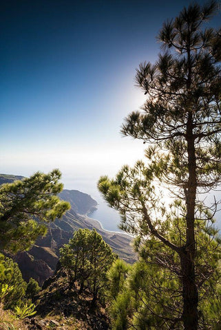 Canary Islands-El Hierro Island-Mirador de las Playas-elevated view of the east coast Black Ornate Wood Framed Art Print with Double Matting by Bibikow, Walter