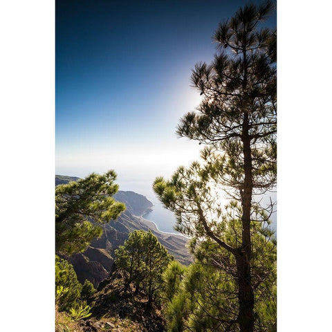Canary Islands-El Hierro Island-Mirador de las Playas-elevated view of the east coast Gold Ornate Wood Framed Art Print with Double Matting by Bibikow, Walter