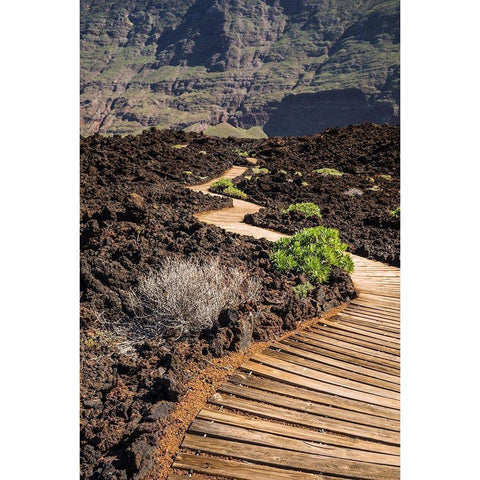 Canary Islands-El Hierro Island-Las Puntas-La Maceta-coastal walkway White Modern Wood Framed Art Print by Bibikow, Walter