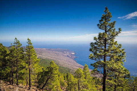 Canary Islands-El Hierro Island-Malpaso Mountain-elevation 1503 meters Black Ornate Wood Framed Art Print with Double Matting by Bibikow, Walter