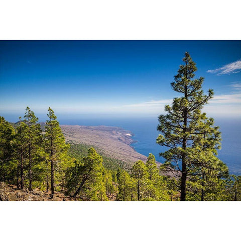 Canary Islands-El Hierro Island-Malpaso Mountain-elevation 1503 meters Gold Ornate Wood Framed Art Print with Double Matting by Bibikow, Walter
