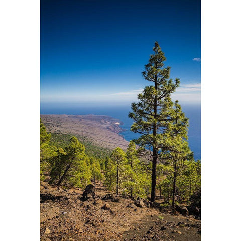 Canary Islands-El Hierro Island-Malpaso Mountain-elevation 1503 meters White Modern Wood Framed Art Print by Bibikow, Walter