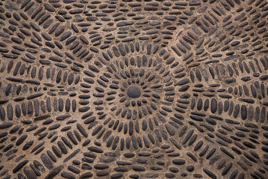 Image Only