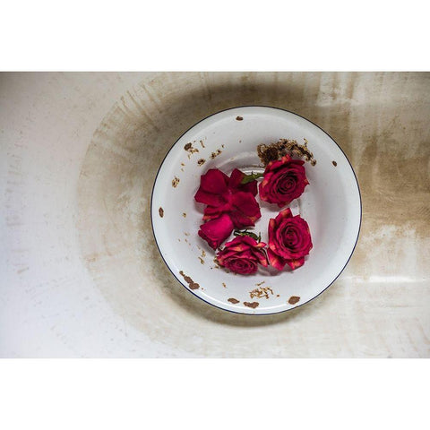 Canary Islands-Tenerife Island-La Orotava-roses in antique dish Black Modern Wood Framed Art Print by Bibikow, Walter