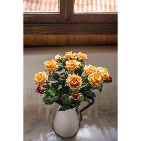 Canary Islands-Tenerife Island-La Orotava-bouquet of roses Black Modern Wood Framed Art Print by Bibikow, Walter