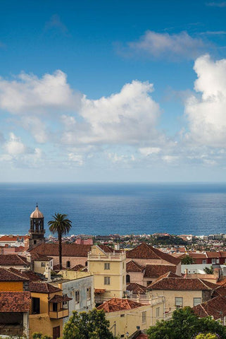 Canary Islands-Tenerife Island-La Orotava-elevated town view White Modern Wood Framed Art Print with Double Matting by Bibikow, Walter
