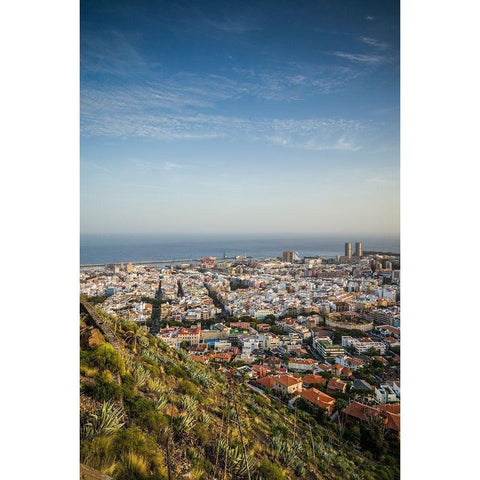 Canary Islands-Tenerife Island-Santa Cruz de Tenerife-elevated view of city and port-late afternoon White Modern Wood Framed Art Print by Bibikow, Walter
