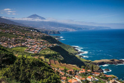 Canary Islands-Tenerife Island-El Sauzal-elevated view of the west coast and El Teide Mountain Black Ornate Wood Framed Art Print with Double Matting by Bibikow, Walter