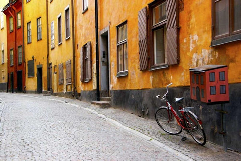 Sweden, Stockholm Street scene in Gamla Stan Black Ornate Wood Framed Art Print with Double Matting by Ross, Nancy ,  Steve