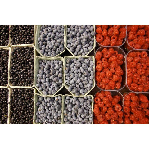 Sweden, Stockholm Berries at the Outdoor Market Black Modern Wood Framed Art Print by Ross, Nancy ,  Steve