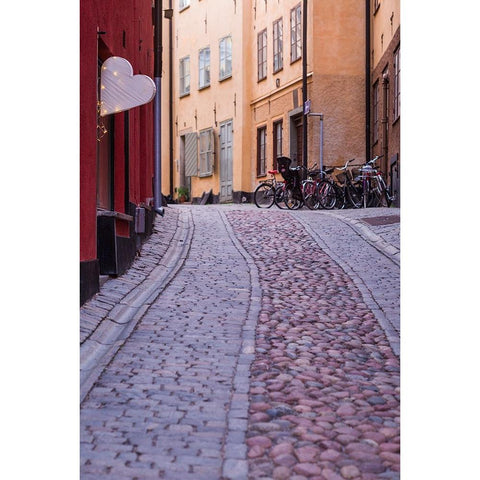 Sweden-Stockholm-Gamla Stan-Old Town-Royal Palace-old town street Black Modern Wood Framed Art Print by Bibikow, Walter