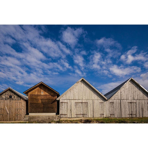 Sweden-Gotland Island-Djupvik-fishing shacks Black Modern Wood Framed Art Print by Bibikow, Walter