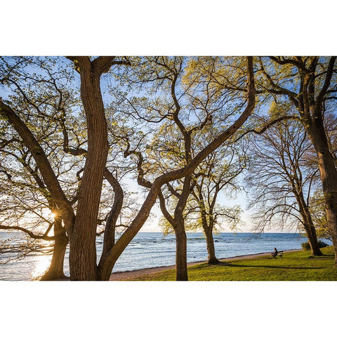 Sweden-Gotland Island-Visby-Strandpromenaden-coastal walkway-sunset White Modern Wood Framed Art Print by Bibikow, Walter
